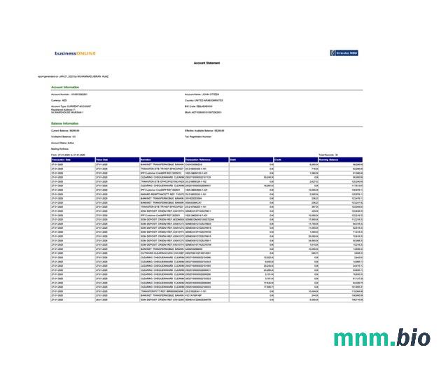 ZEA Commercial Bank of Dubai wyciąg z konta Word i szablon PDF